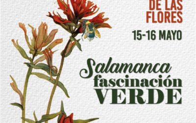 El Mercado de las Flores vuelve a las calles de Salamanca los días 15 y 16 de mayo con los polinizadores como protagonistas